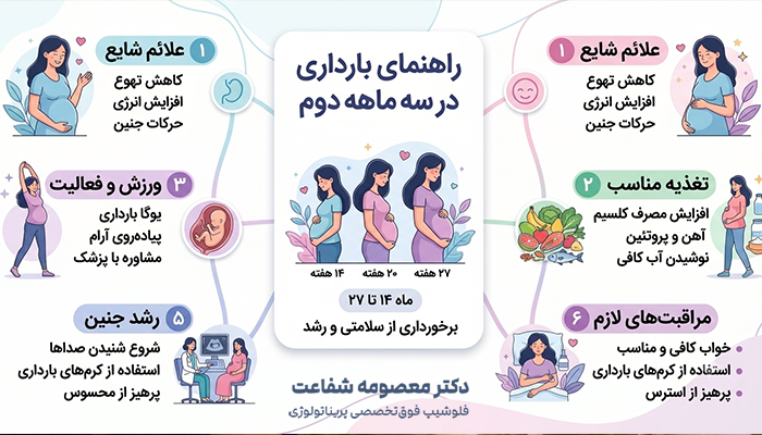 راهنمای بارداری در سه ماهه دوم