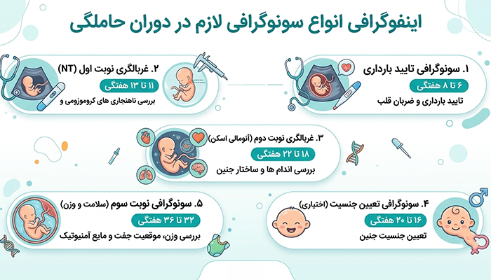 انواع سونوگرافی لازم در دوران حاملگی