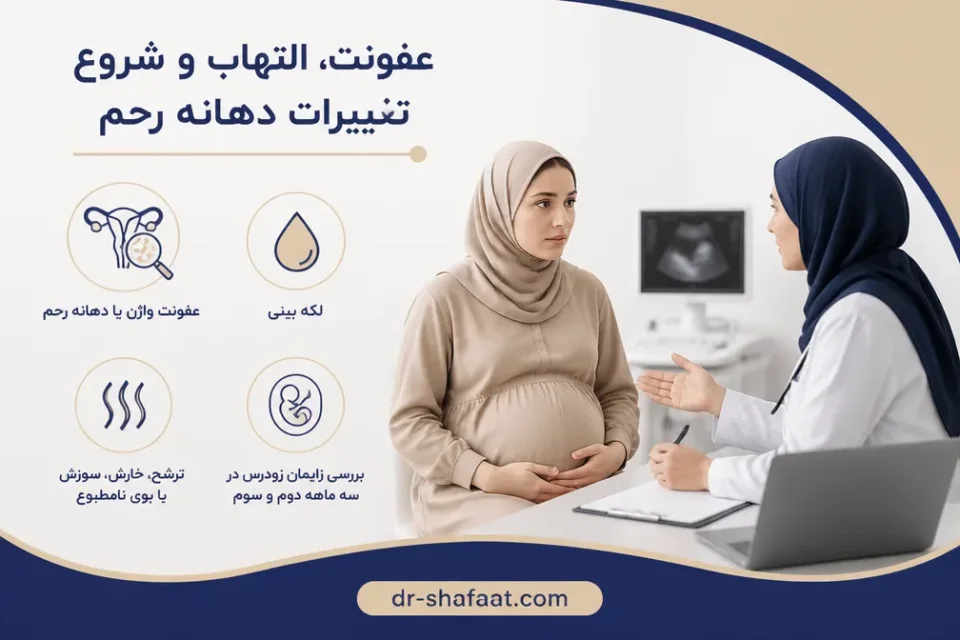 نمای توضیحی درباره عفونت، التهاب و شروع تغییرات دهانه رحم